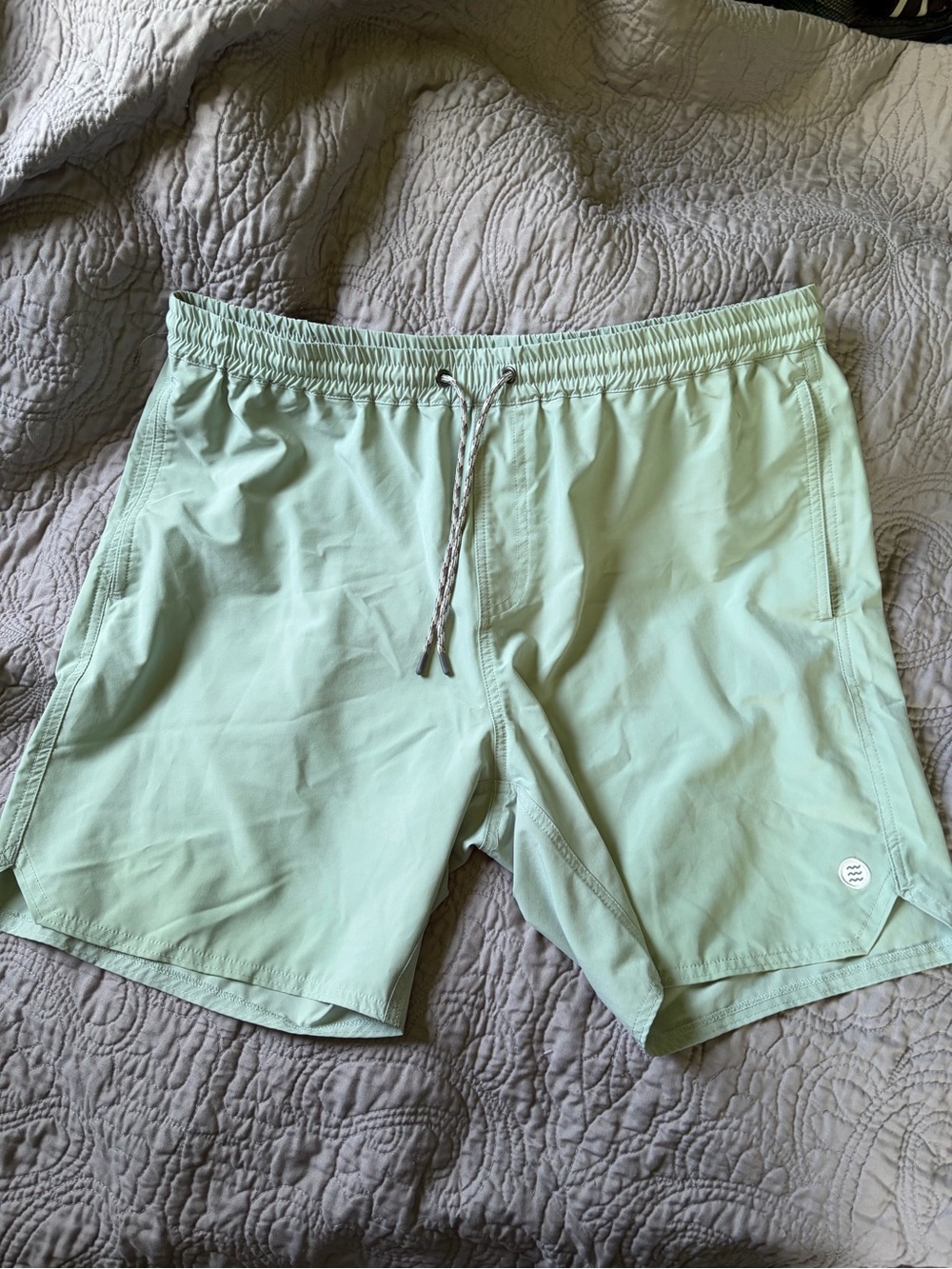 Free Fly Apparel Mint Green Swim Trunks
